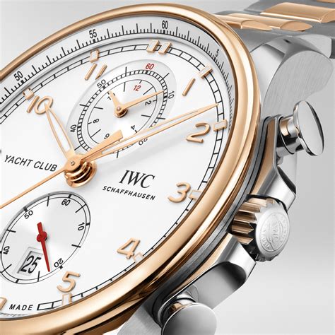 iwc similar watches|which iwc watch to buy.